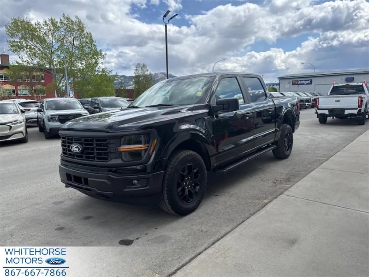 2025 Ford F-150 STX Main Image