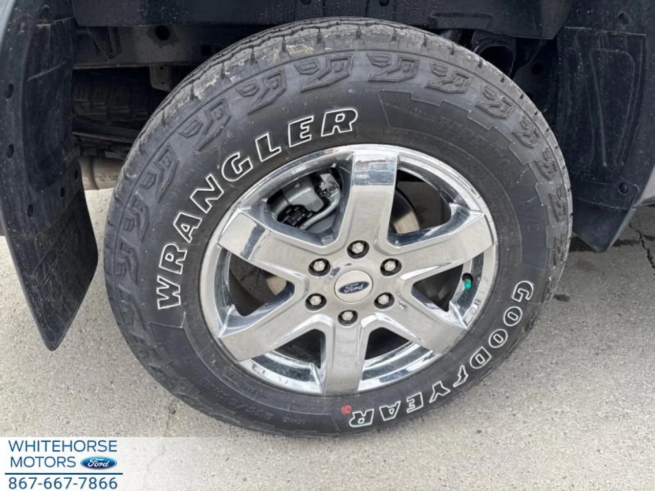 2024 Ford Ranger XLT Main Image