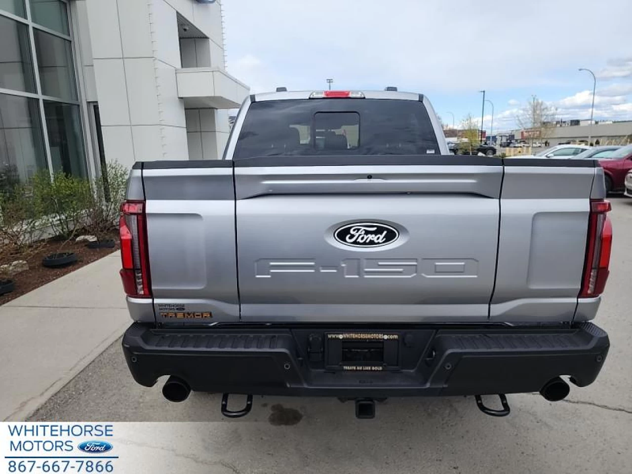 2025 Ford F-150 Tremor Main Image