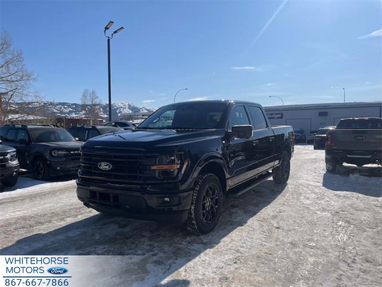 2026 Ford F-150 XLT Main Image