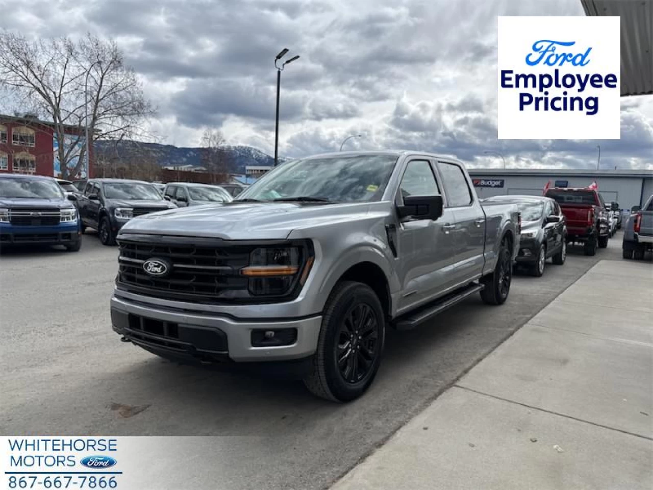 2025 Ford F-150 XLT Image principale