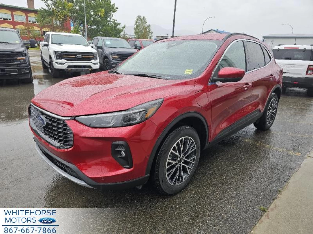 2024 Ford Escape PHEV Main Image