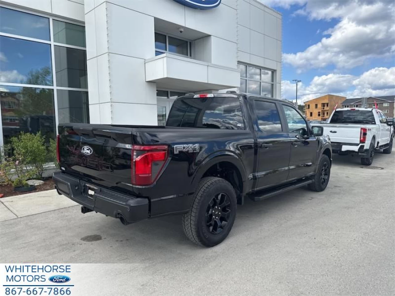 2025 Ford F-150 STX Main Image