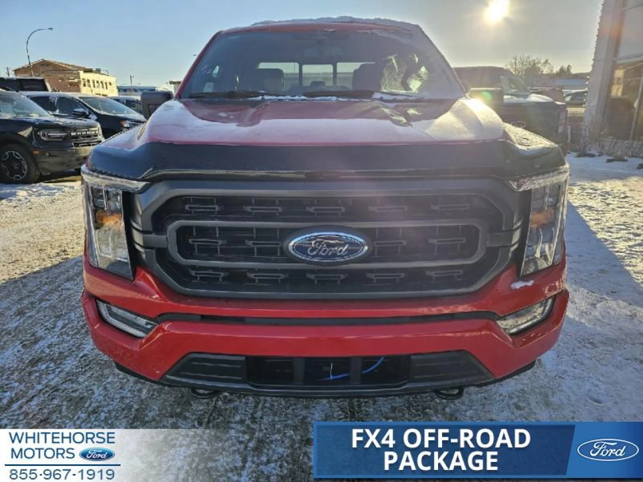 2023 Ford F-150 XLT Main Image