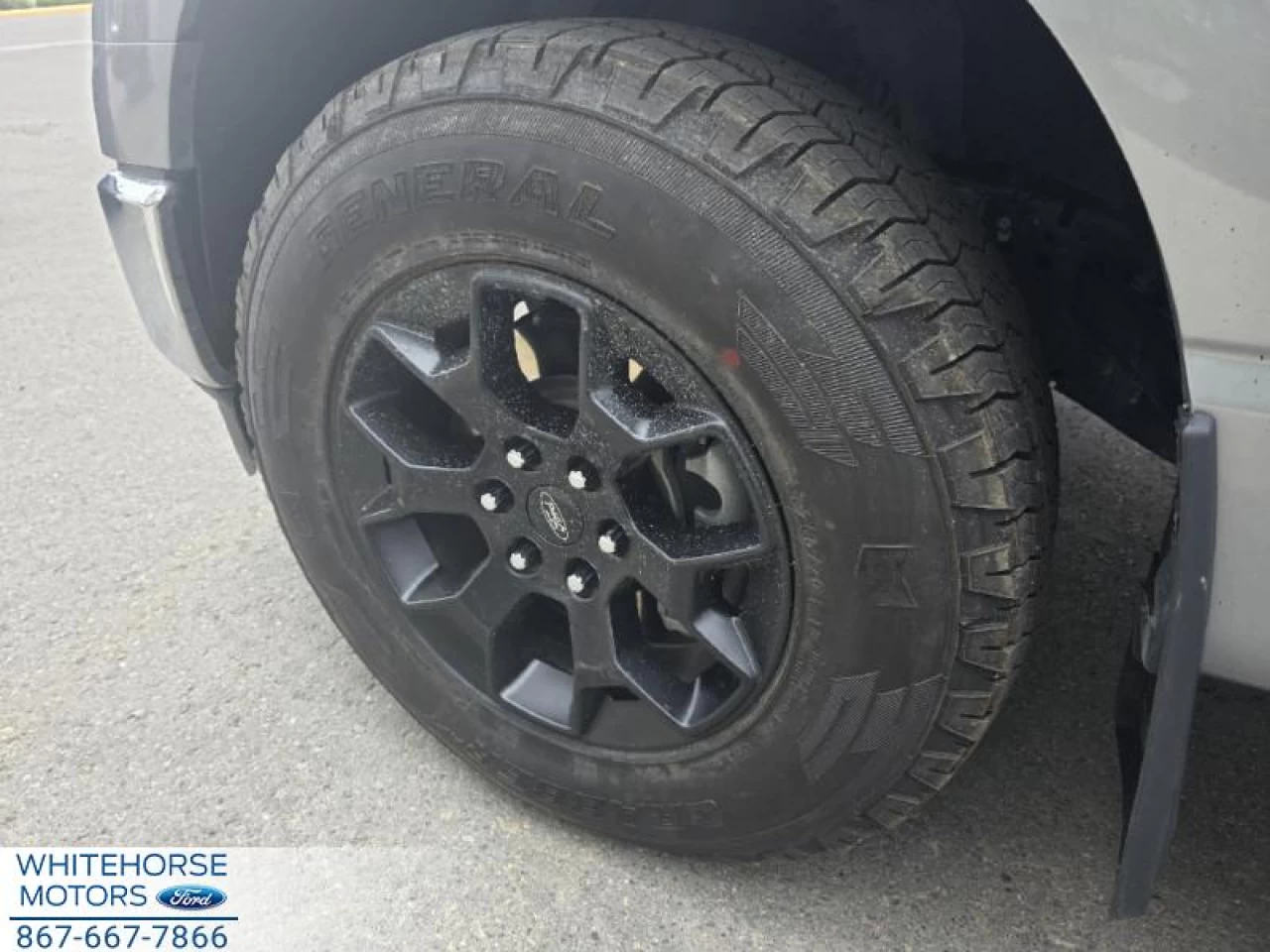 2023 Ford F-150 XLT Main Image