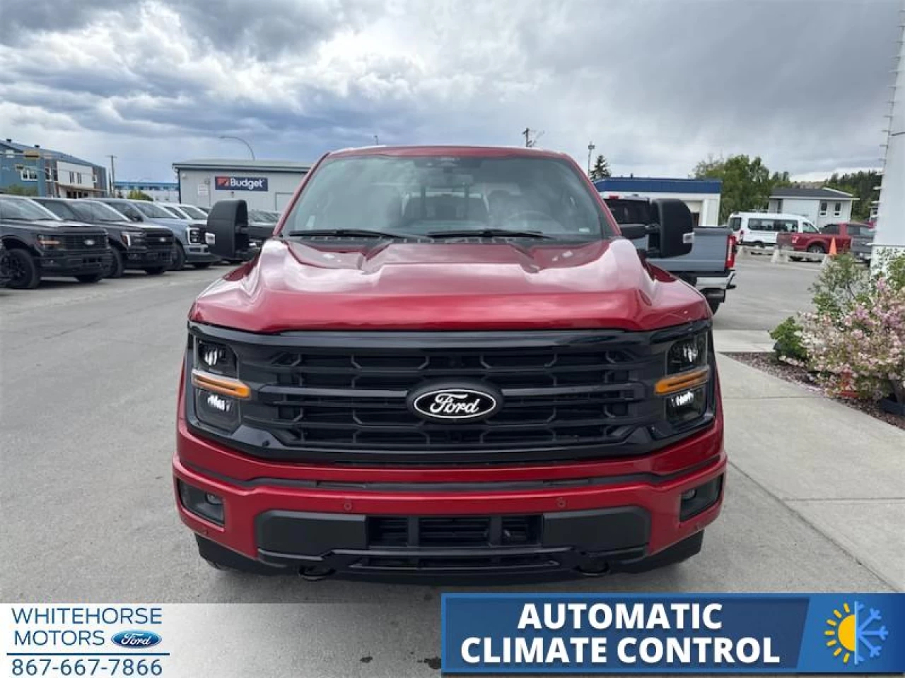 2025 Ford F-150 XLT Main Image