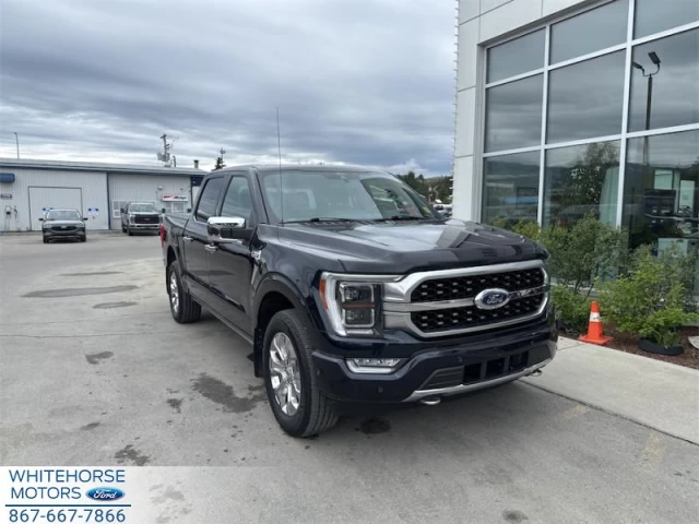 Ford F-150 Platinum 2021