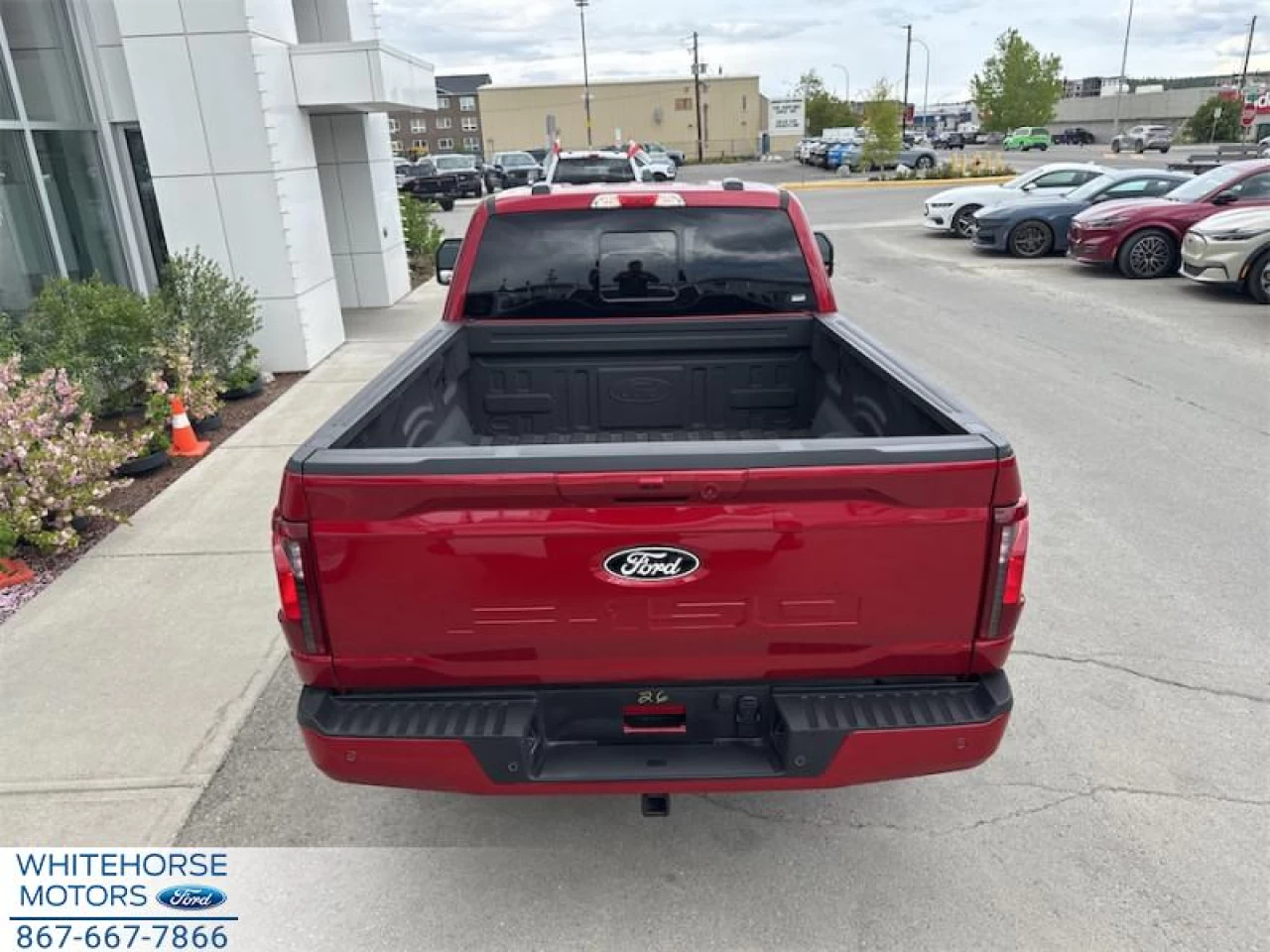 2025 Ford F-150 XLT Main Image