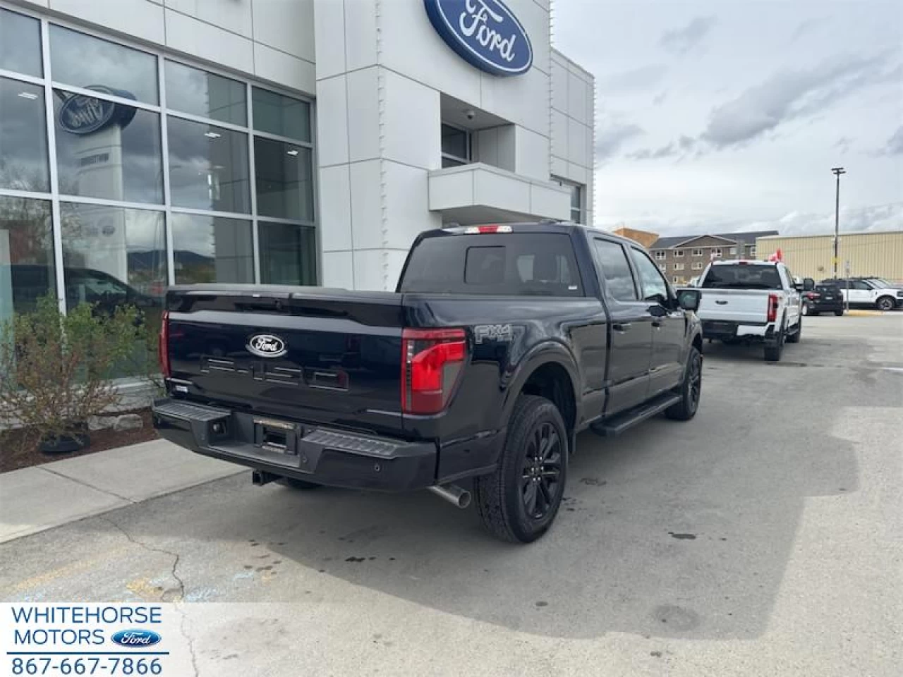 2025 Ford F-150 XLT Main Image