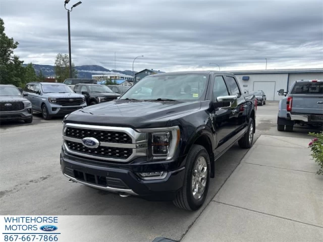 Ford F-150 Platinum 2021