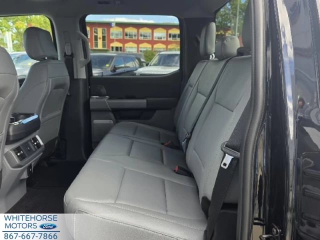 Ford F-150 Lightning Flash 2025