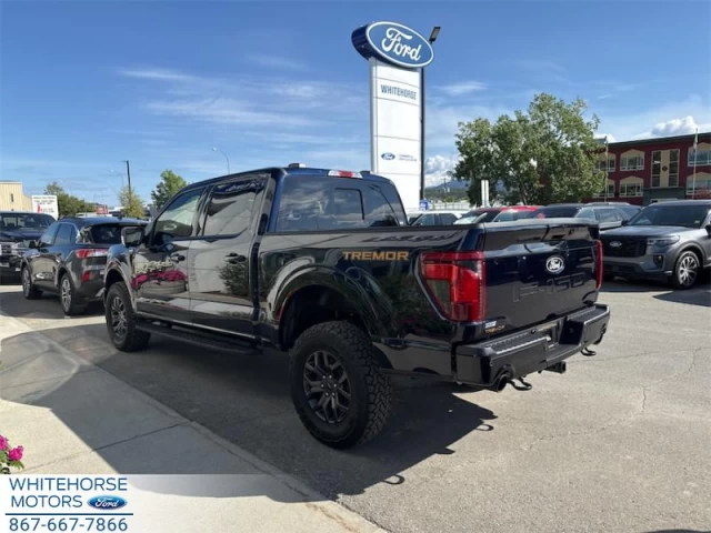 Ford F-150 Tremor 2025