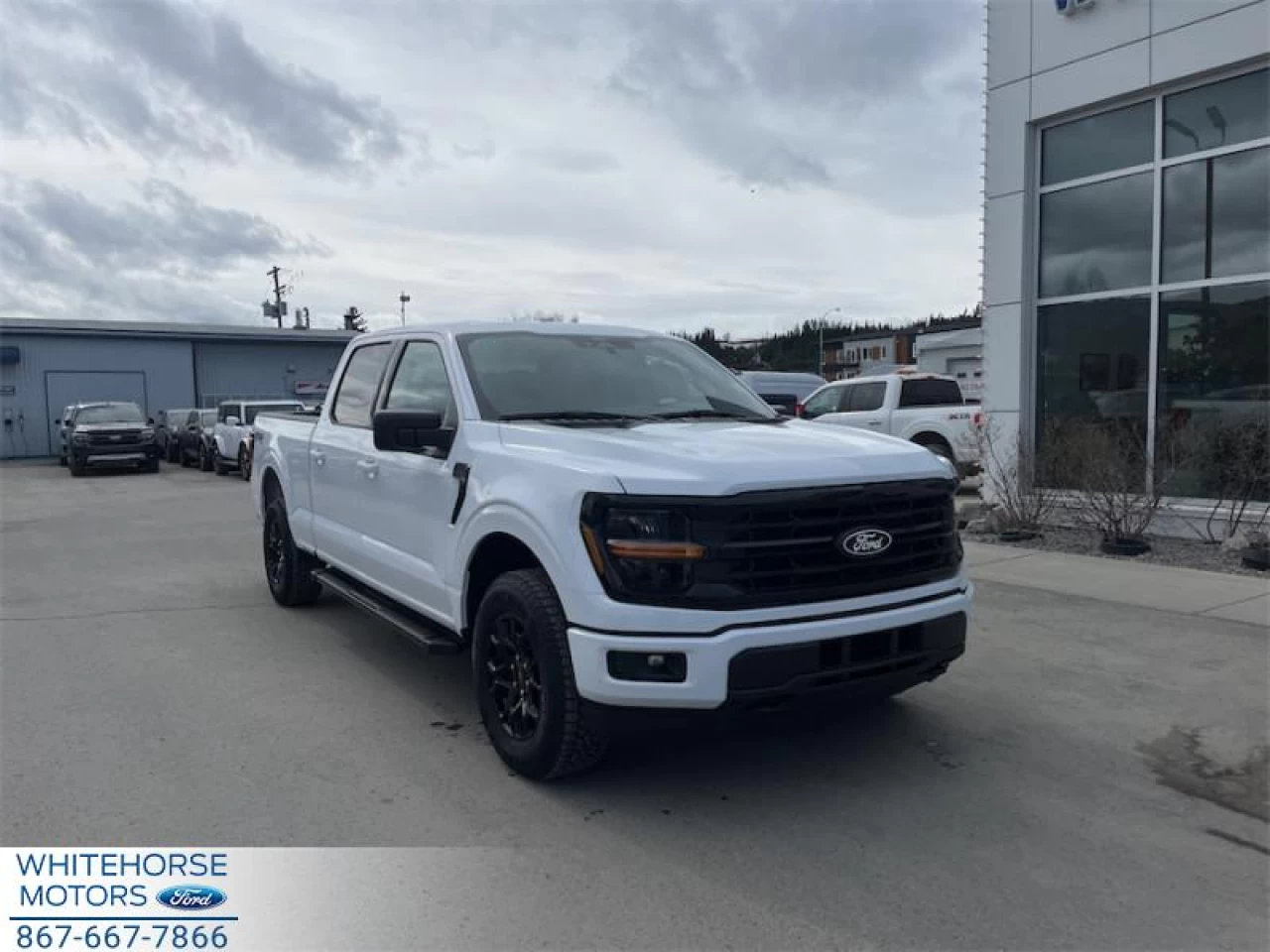 2026 Ford F-150 XLT Main Image