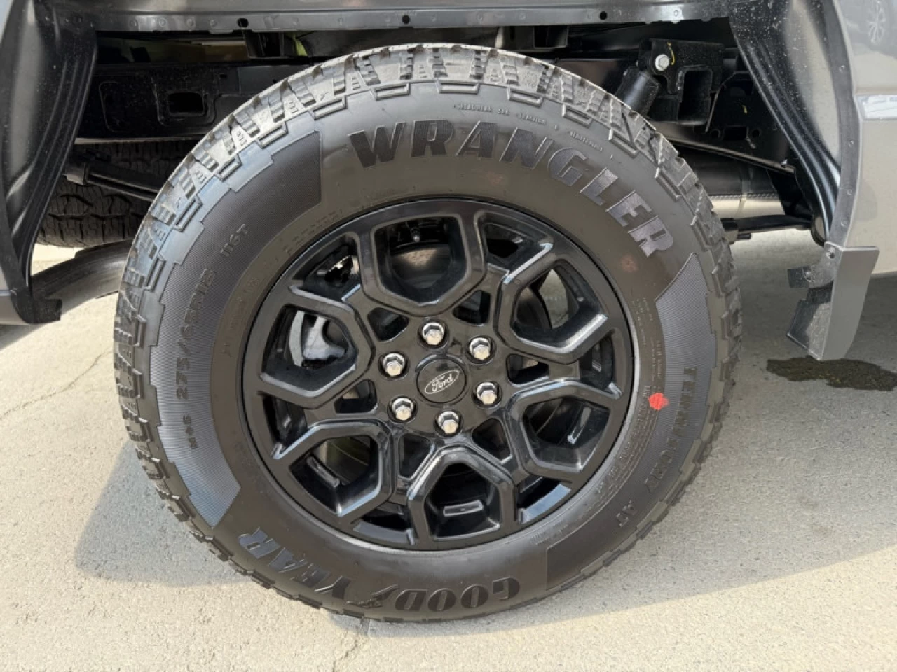 2025 Ford F-150 XLT Main Image