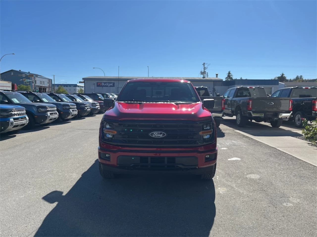 2026 Ford F-150 XLT Image principale