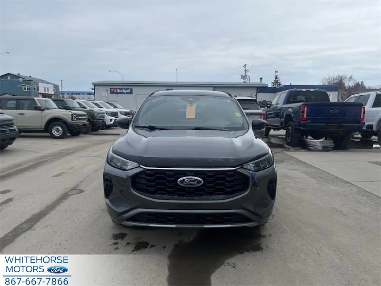 2023 Ford Escape ST-Line AWD Main Image