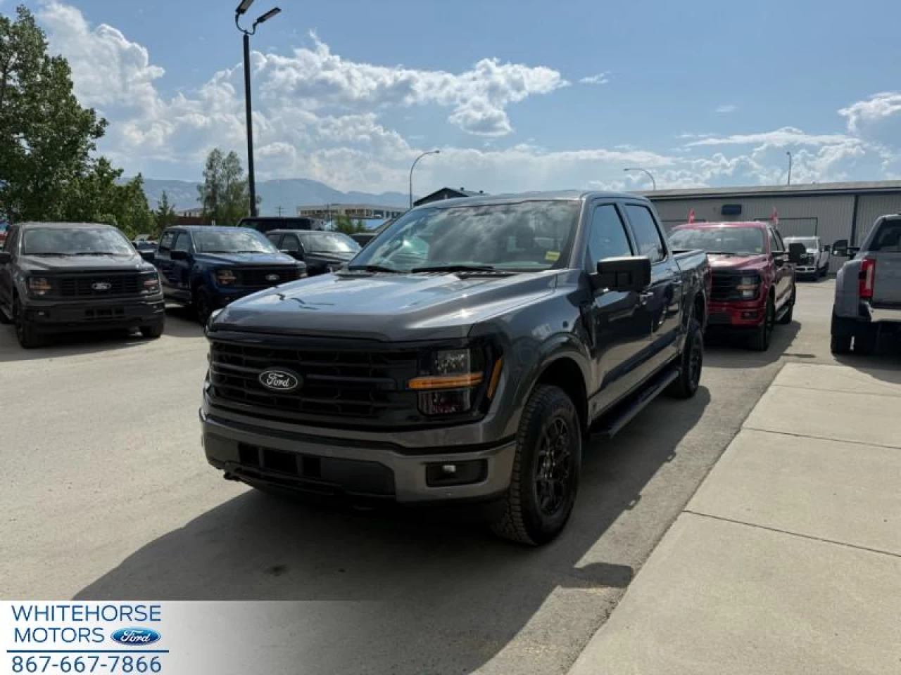 2025 Ford F-150 XLT Main Image
