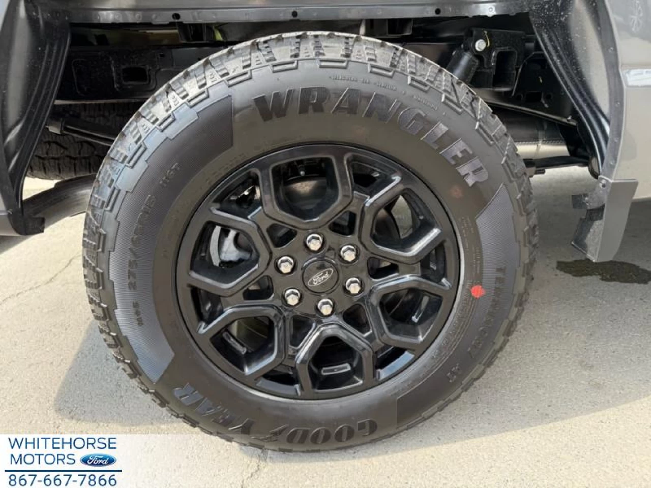 2025 Ford F-150 XLT Main Image