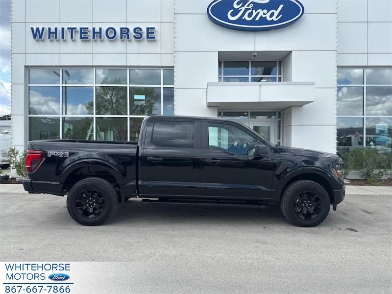 2025 Ford F-150 STX Main Image