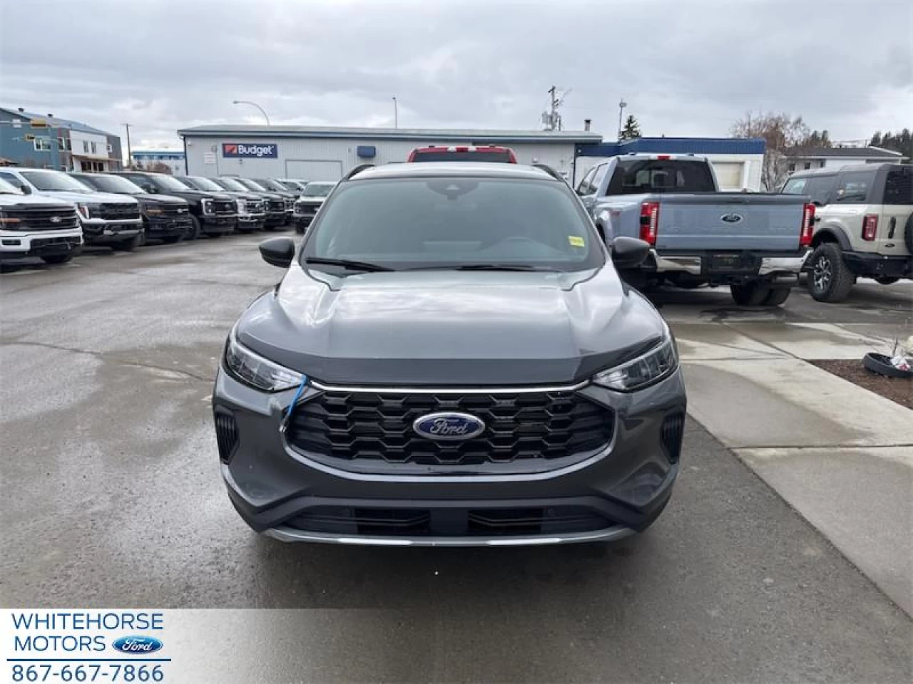 2025 Ford Escape ST-Line Image principale