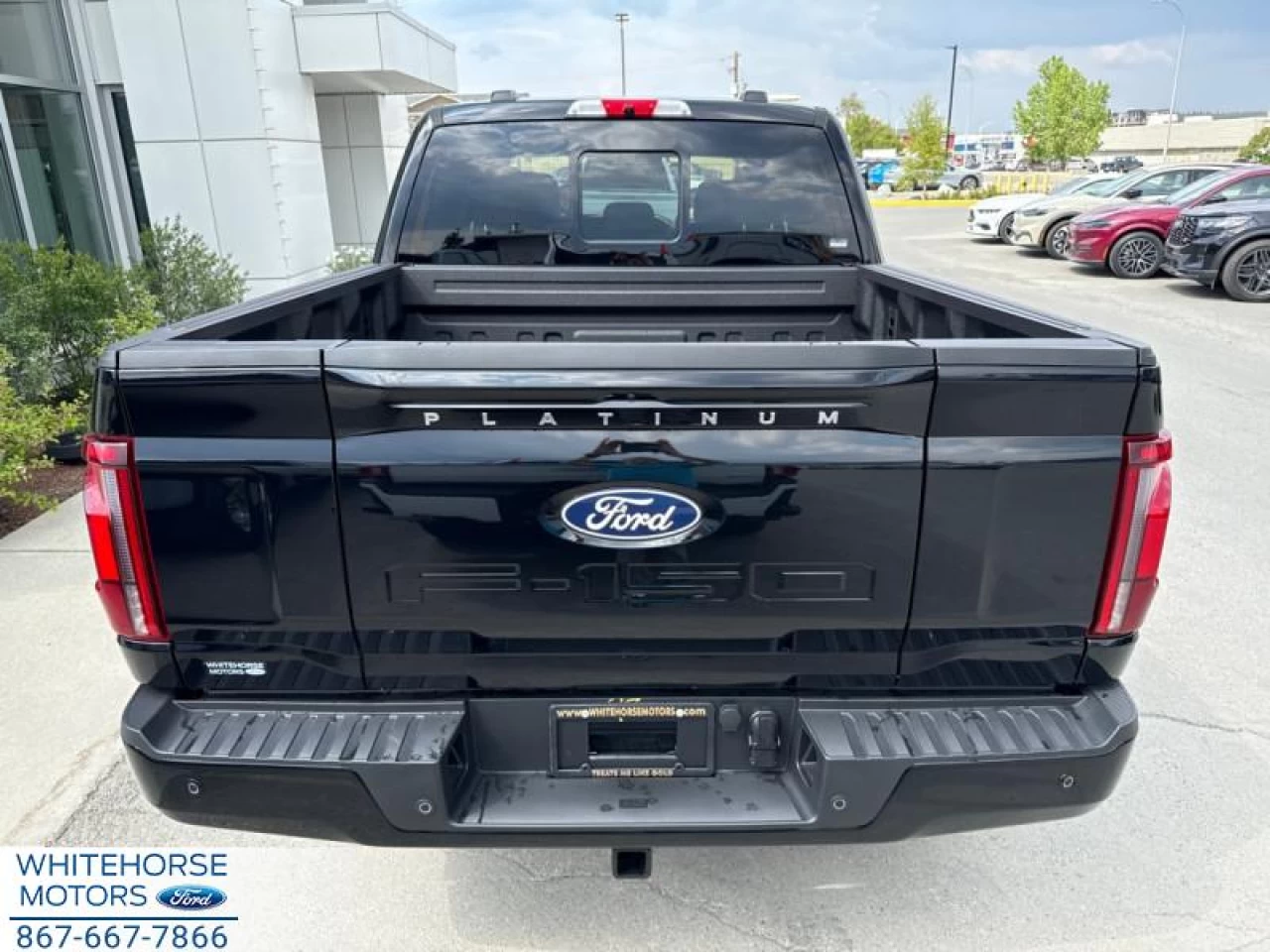 2025 Ford F-150 Platinum Main Image