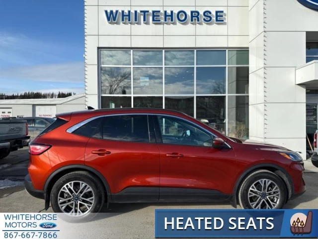 Ford Escape SEL 4WD 2020
