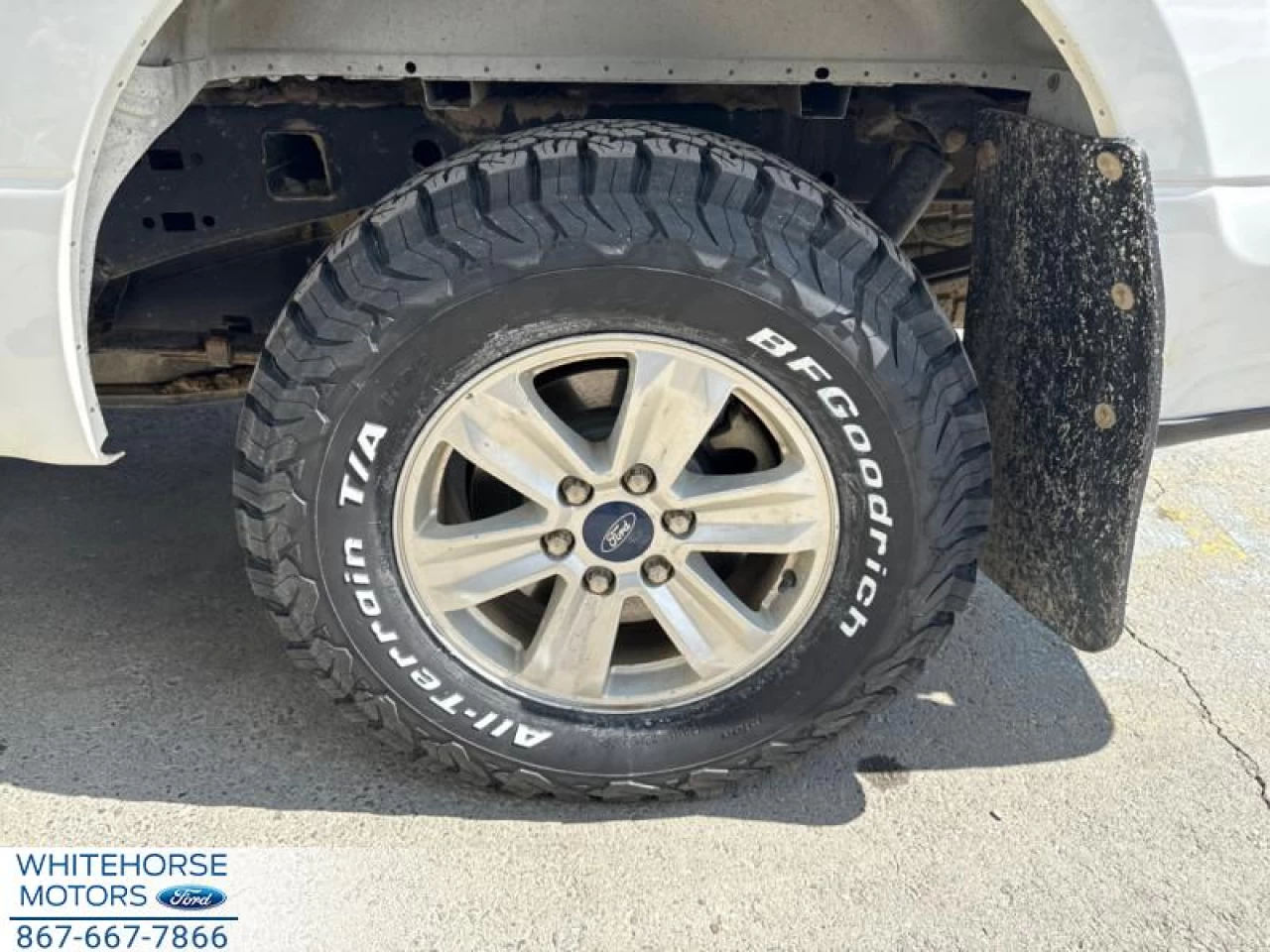 2020 Ford F-150 XLT Image principale