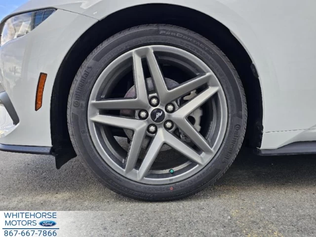 Ford Mustang EcoBoost 2024