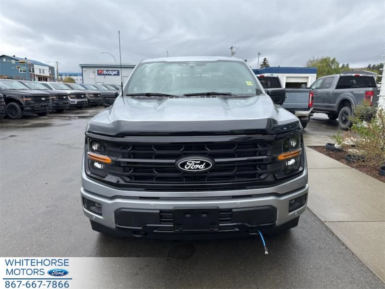 2025 Ford F-150 XLT Main Image