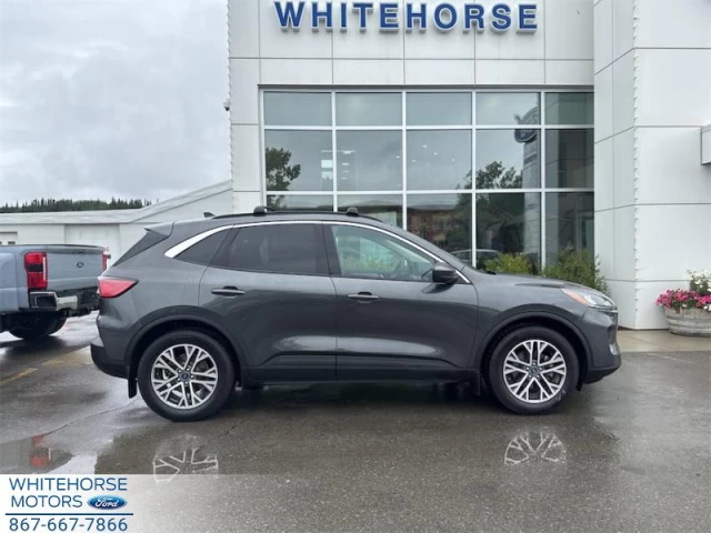 Ford Escape SEL 4WD 2020