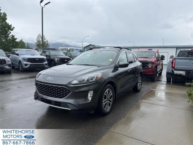 Ford Escape - 2020