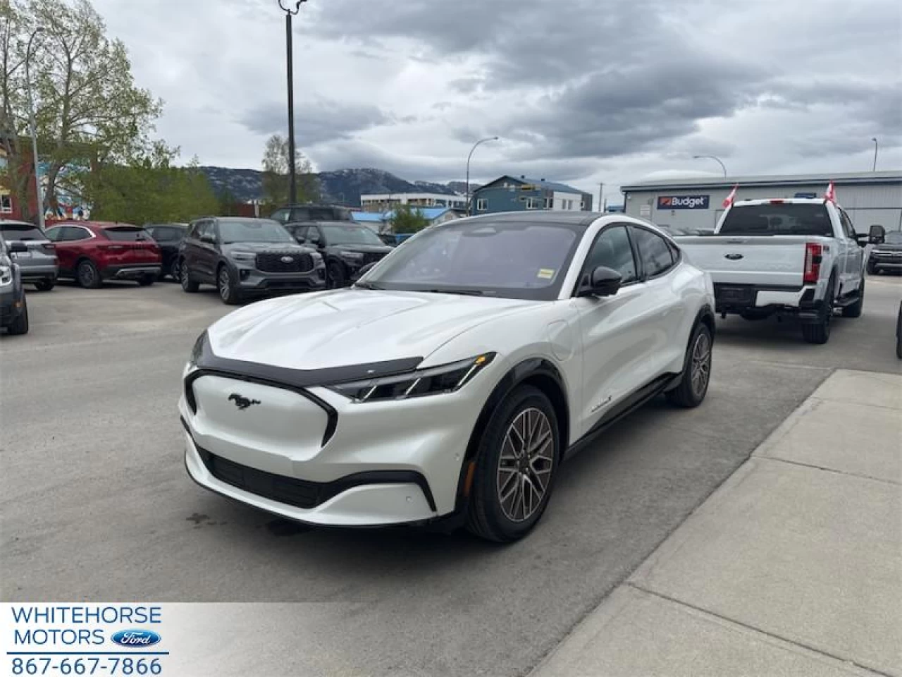 2024 Ford Mustang Mach-E Premium AWD Main Image