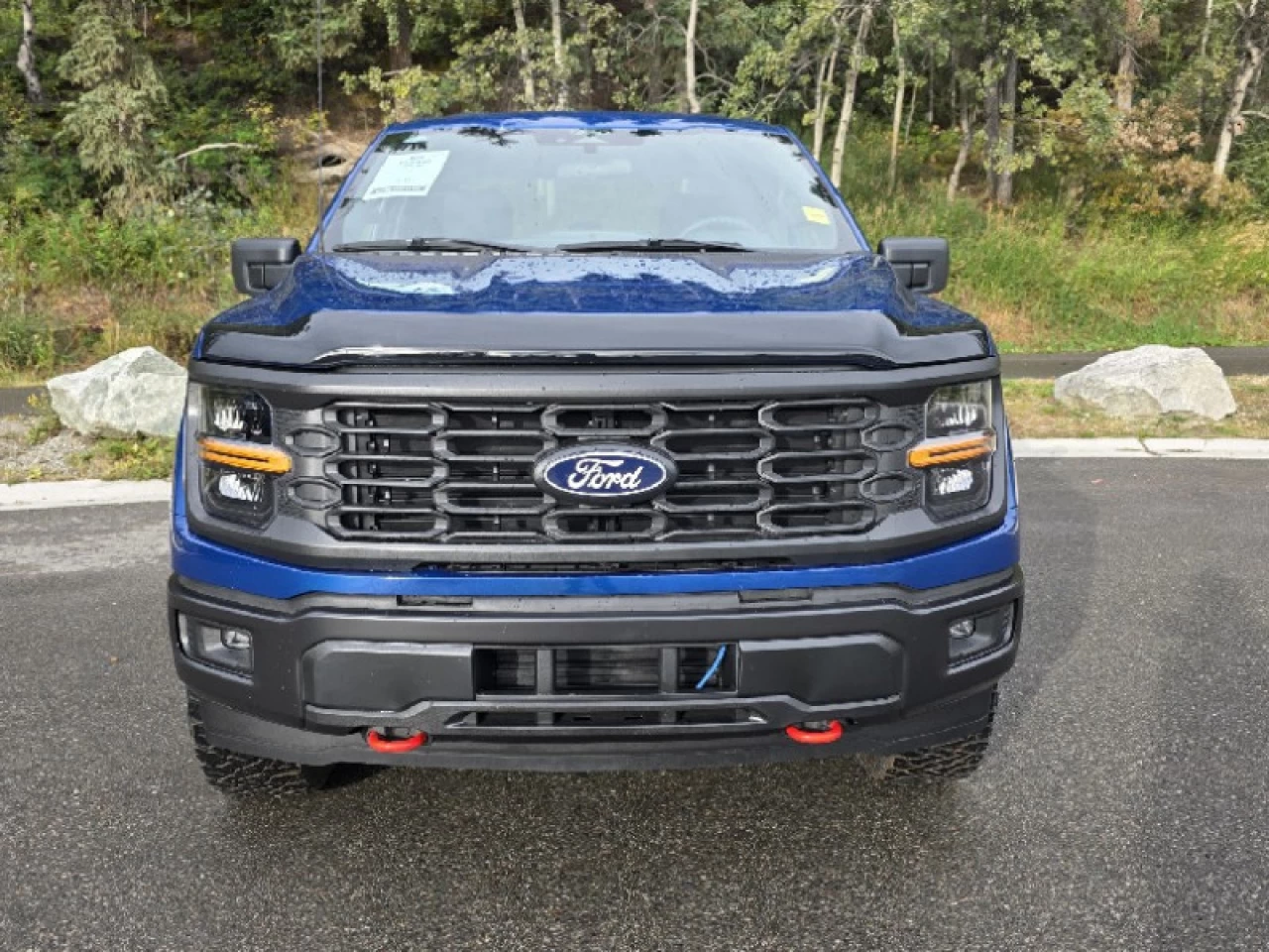 2025 Ford F-150 STX Main Image