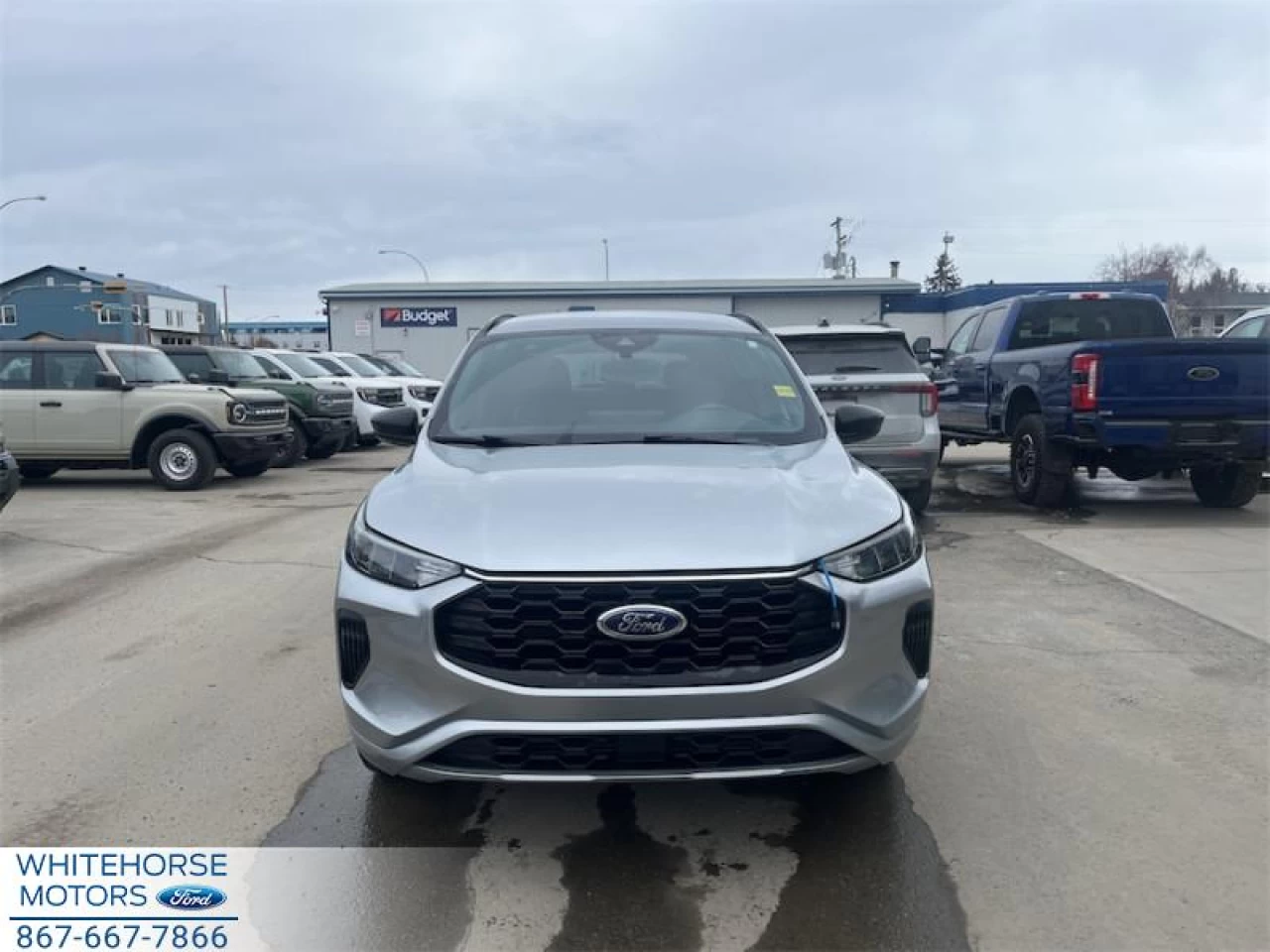 2024 Ford Escape ST-Line Main Image
