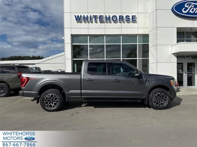 Ford F-150 XLT 2023