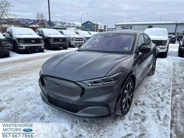 Ford Mustang Mach-E Premium AWD 2021