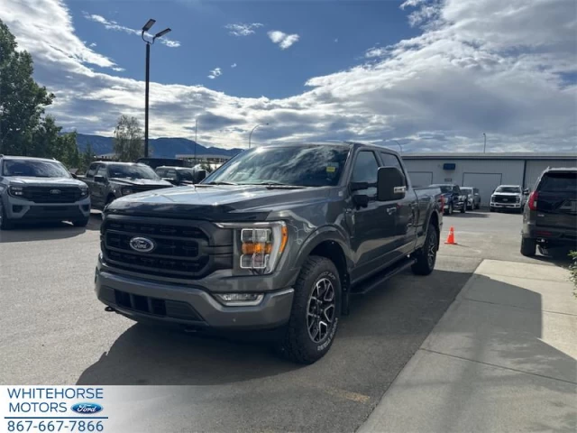 Ford F-150 XLT 2023