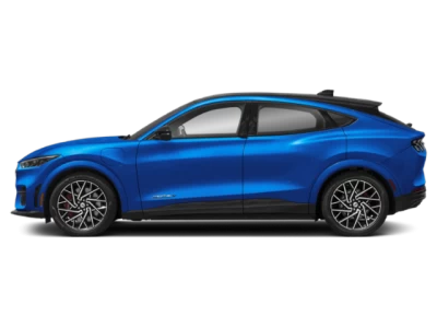 Profile, Facing to the Left