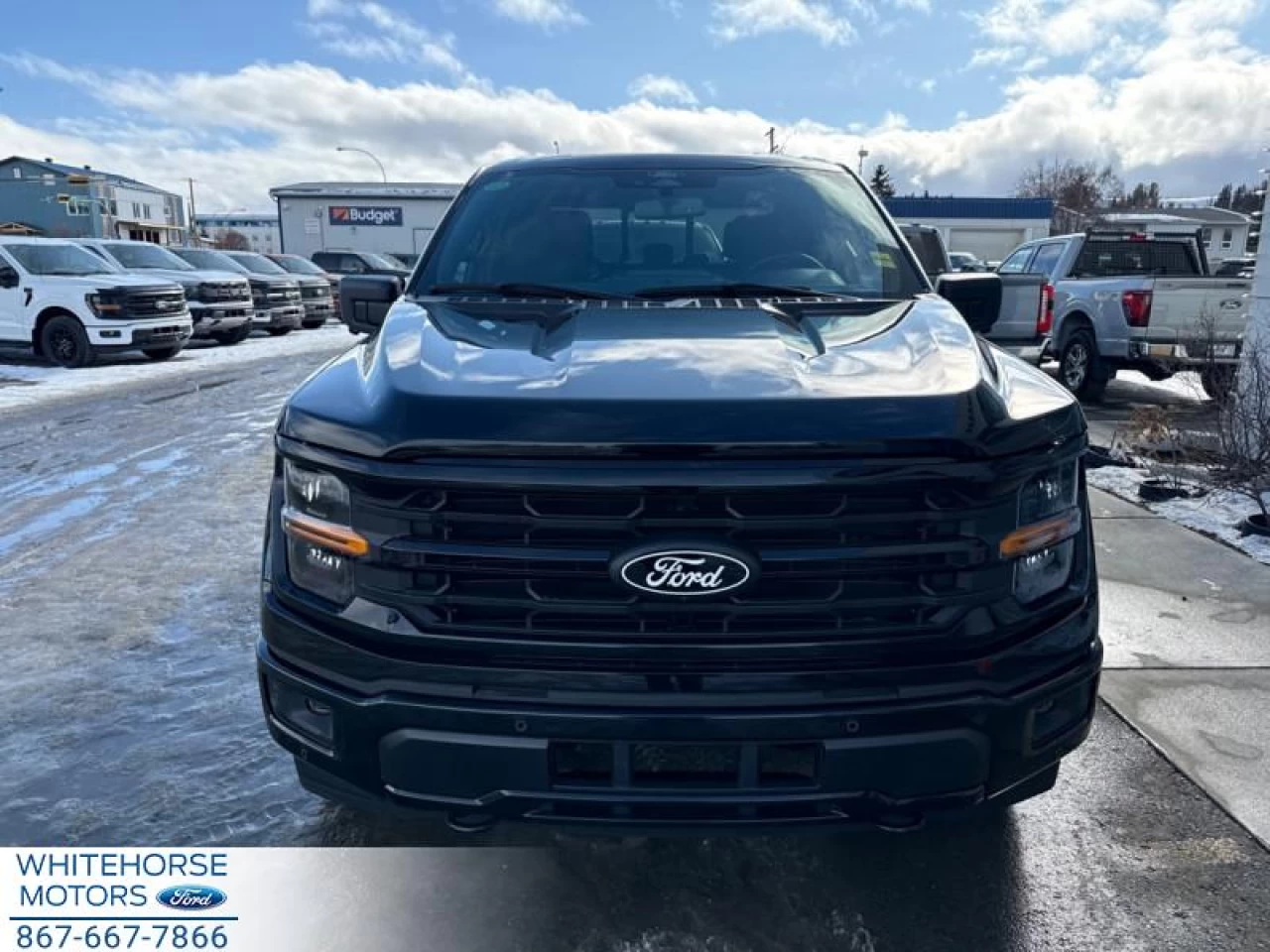 2025 Ford F-150 XLT Main Image