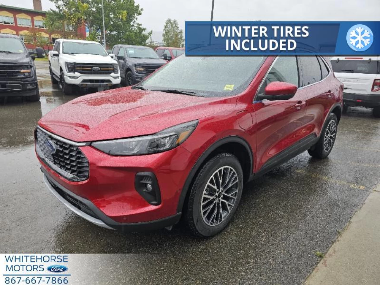 2024 Ford Escape PHEV Main Image