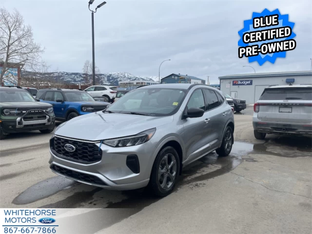 Ford Escape ST-Line 2024