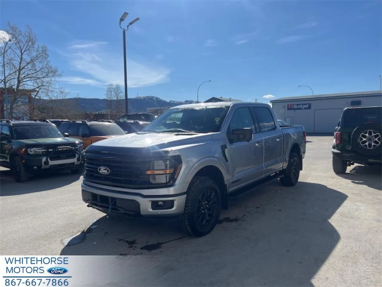 2026 Ford F-150 XLT Main Image