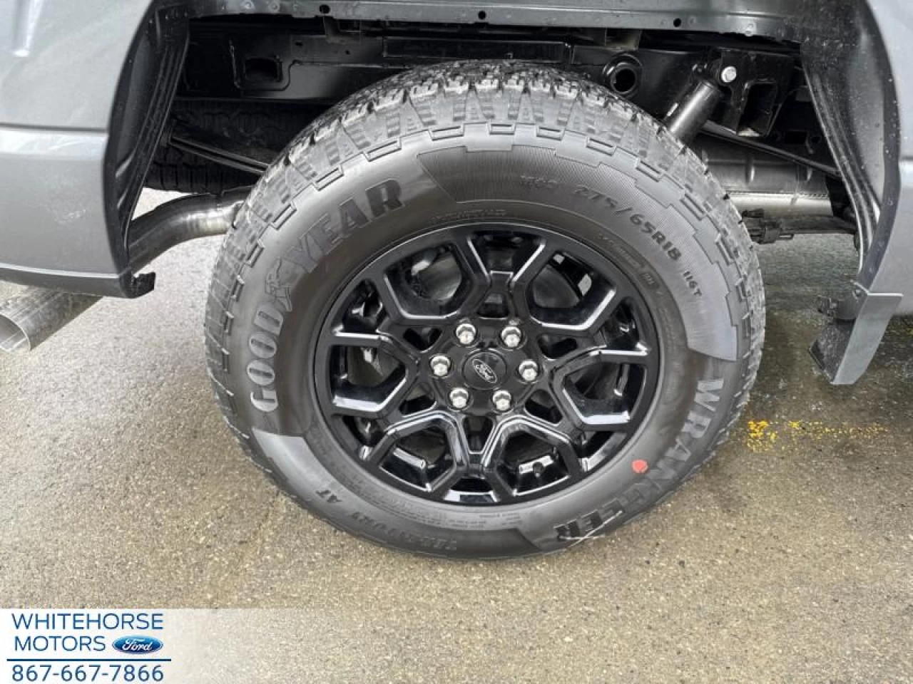 2025 Ford F-150 XLT Main Image
