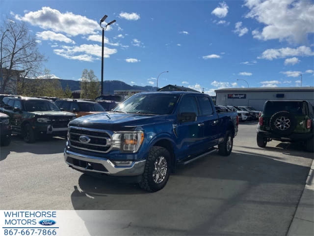 Ford F-150 XLT 2023
