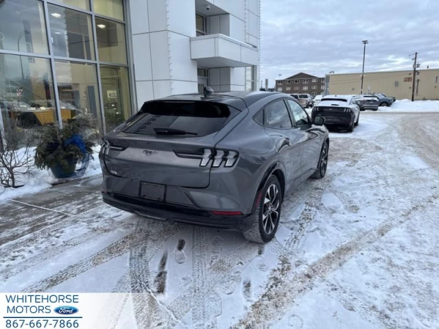Ford Mustang Mach-E Premium AWD 2021