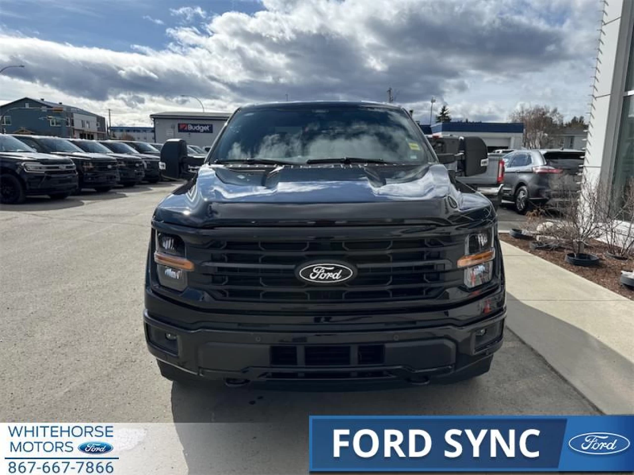 2025 Ford F-150 XLT Main Image