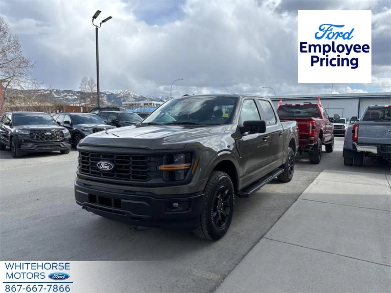 2025 Ford F-150 STX Main Image