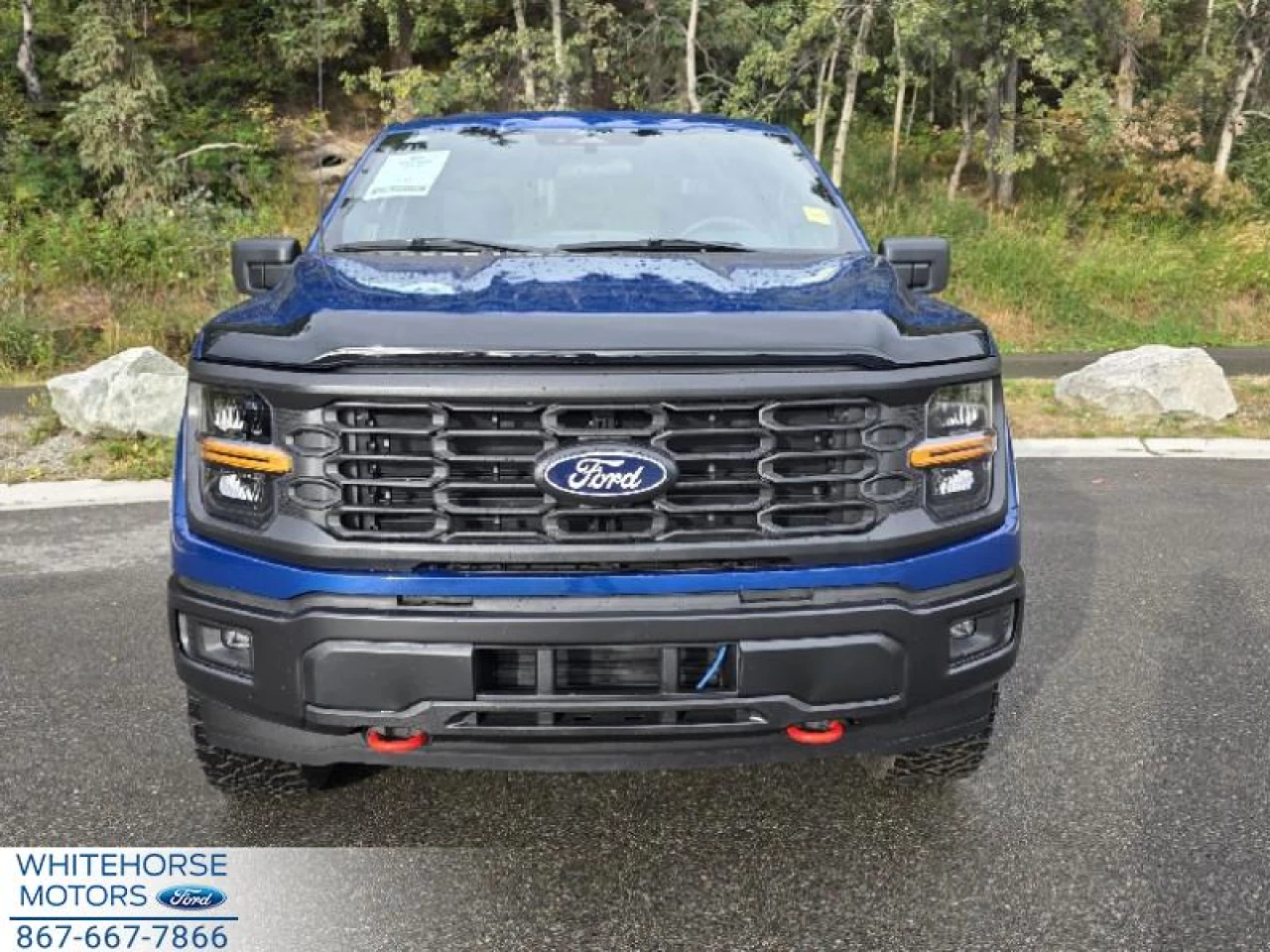 2025 Ford F-150 STX Main Image