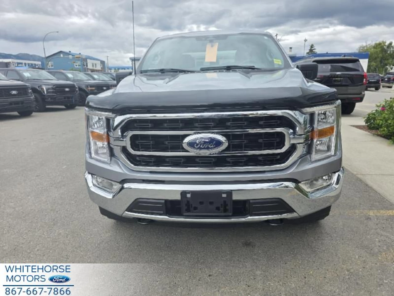 2023 Ford F-150 XLT Image principale