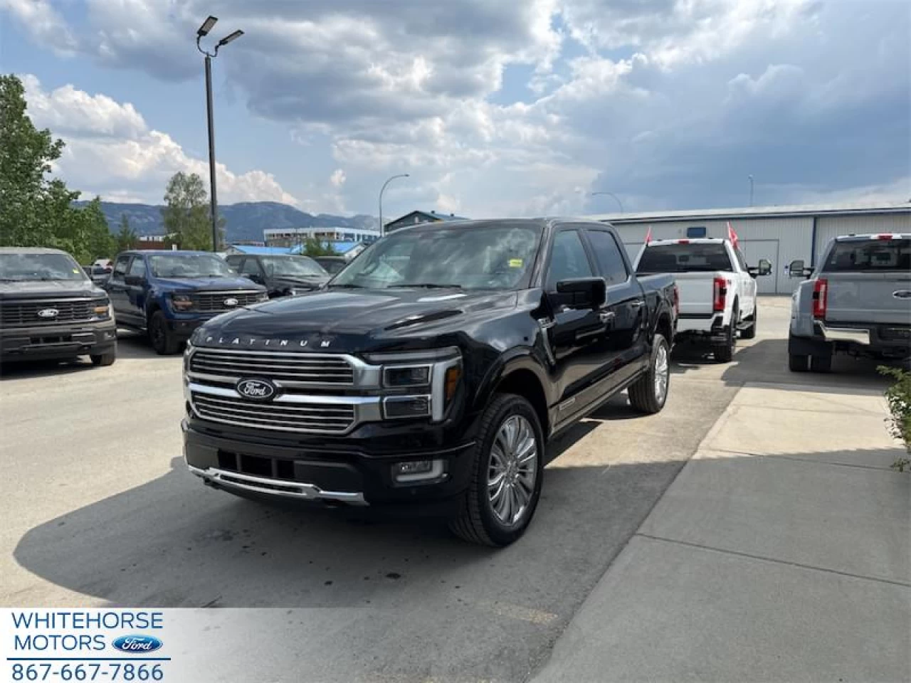 2025 Ford F-150 Platinum Main Image